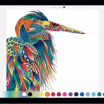 Pixelmator – Apple iPad Pro Apps