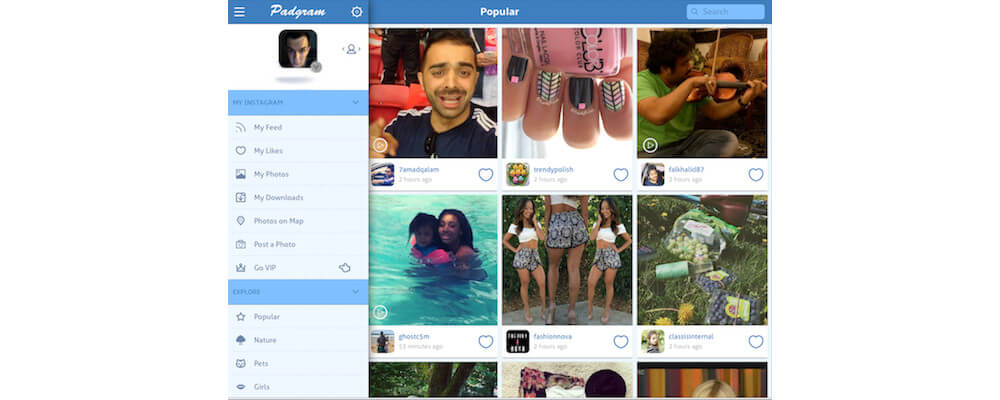 Padgram-INSTAGRAM FOR IPAD – WHAT OPTIONS DO YOU HAVE